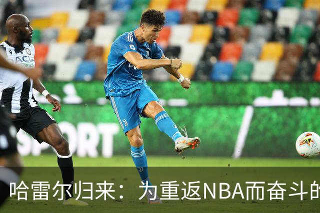 哈雷尔归来：为重返NBA而奋斗的火箭传奇